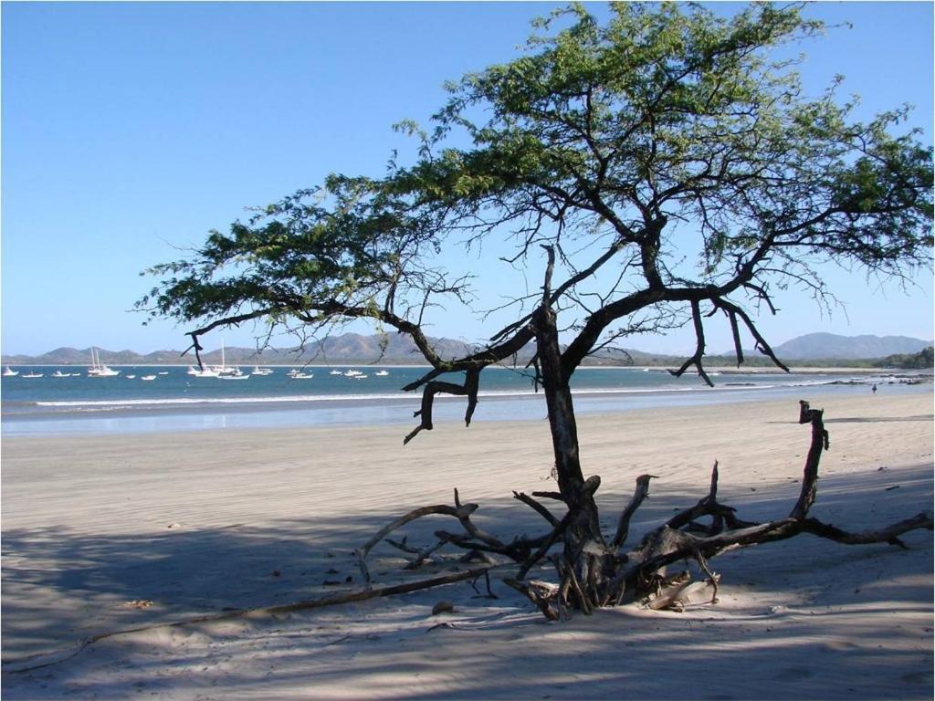 Jet Luxury At Langosta Beach Resort & Villas Tamarindo Kültér fotó